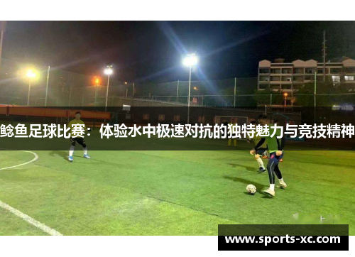 鲶鱼足球比赛：体验水中极速对抗的独特魅力与竞技精神